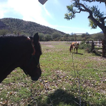 Rancho Santa Cruz Bed & Breakfast Tubac Dış mekan fotoğraf